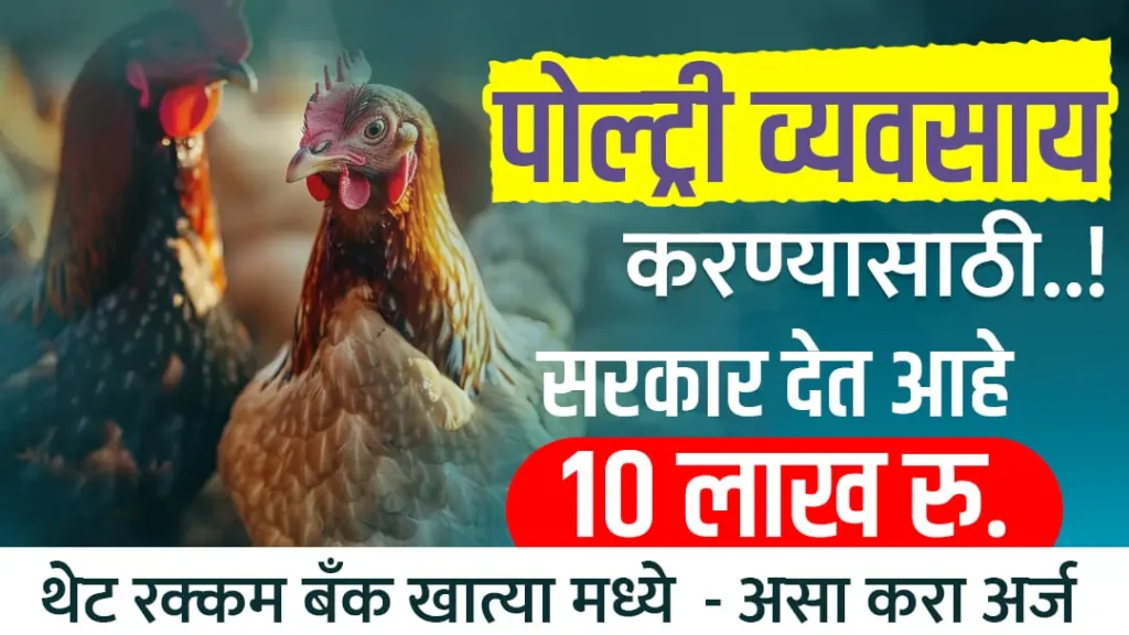 Poultry Farm Loan Scheme